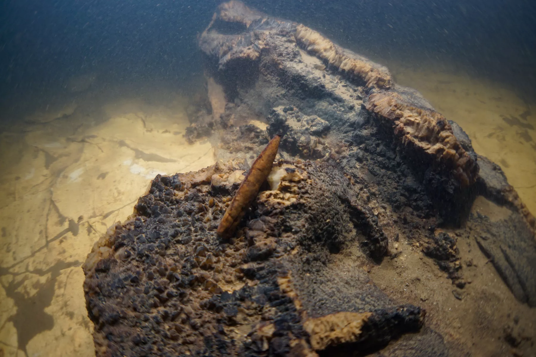 456 789 Belemnit 2 1800x1200