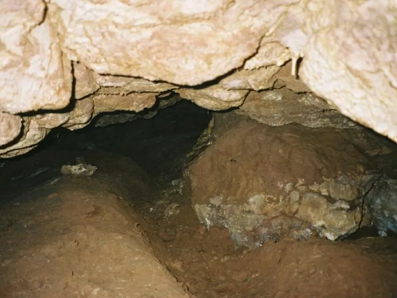 456 789 Blaetterteighoehle 08 800x600