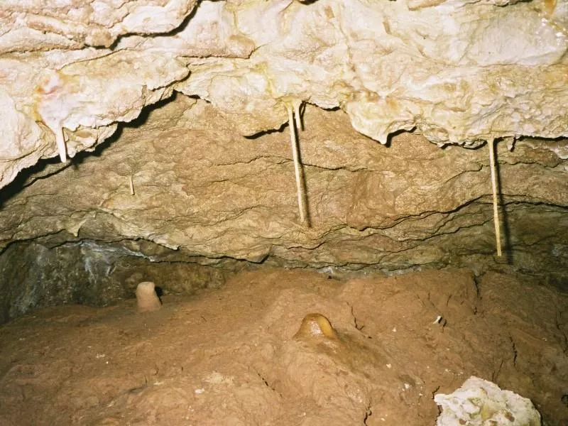 456 789 Blaetterteighoehle 14 800x600