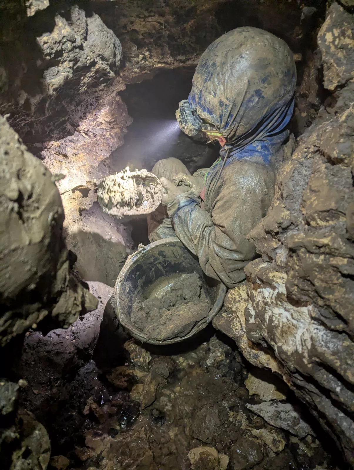 PXL 20260201 125419153