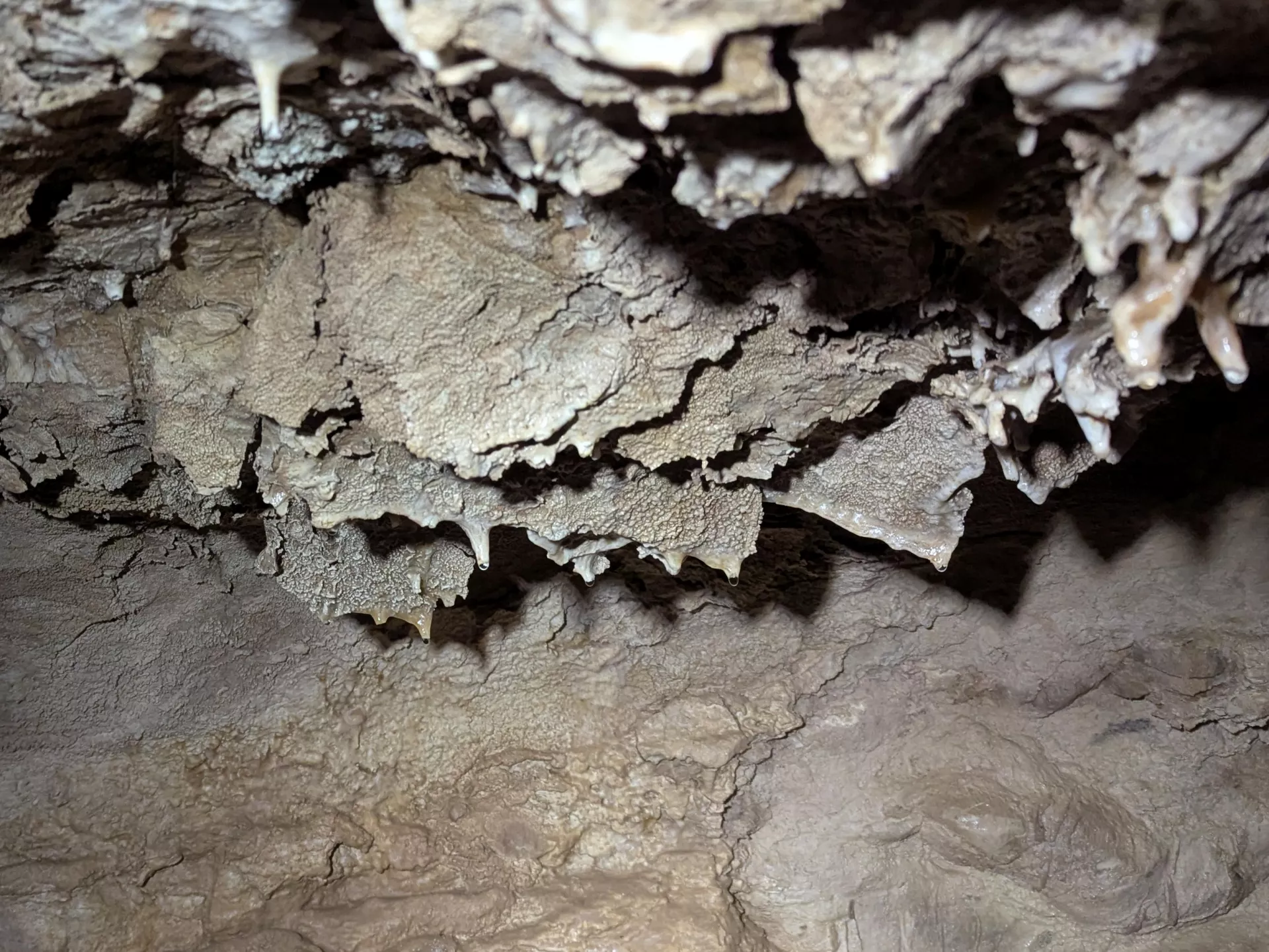 bth blaetterteig sinter horizontal PXL 20260124 131931613 crop