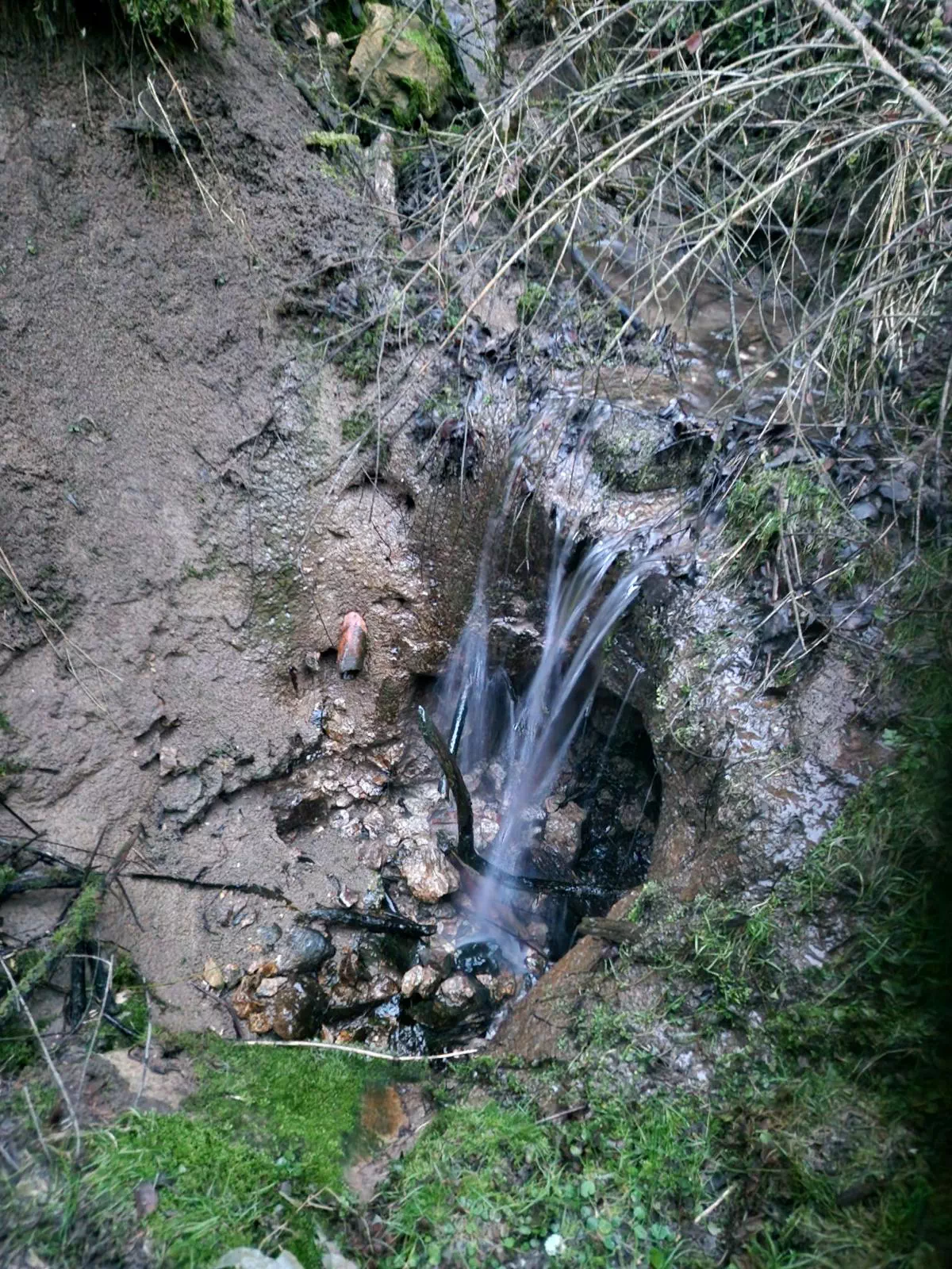 Dokumentiertes aktives Schluckloch im Wald (Harreser Erdfälle)
